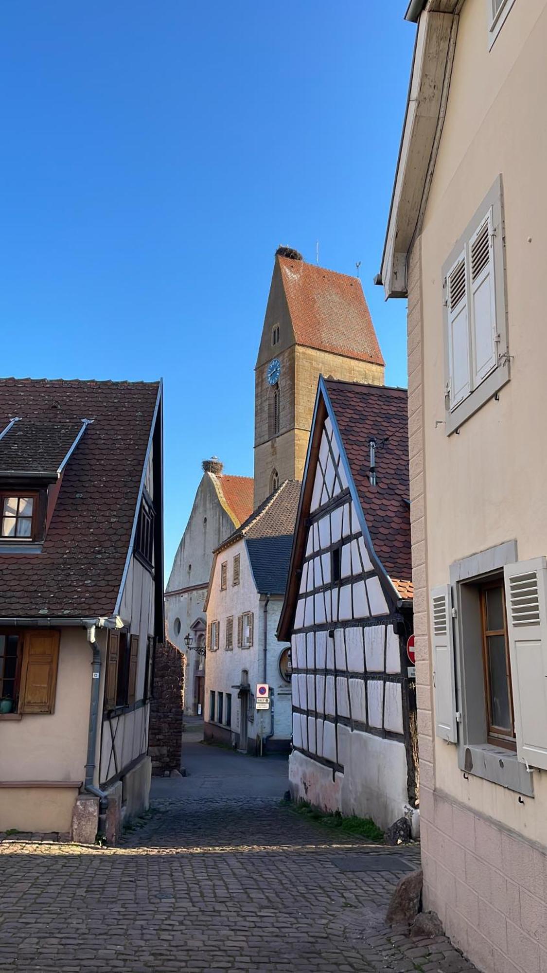 Appartement Le Ch'Ti Alsacien Eguisheim Eksteriør bilde