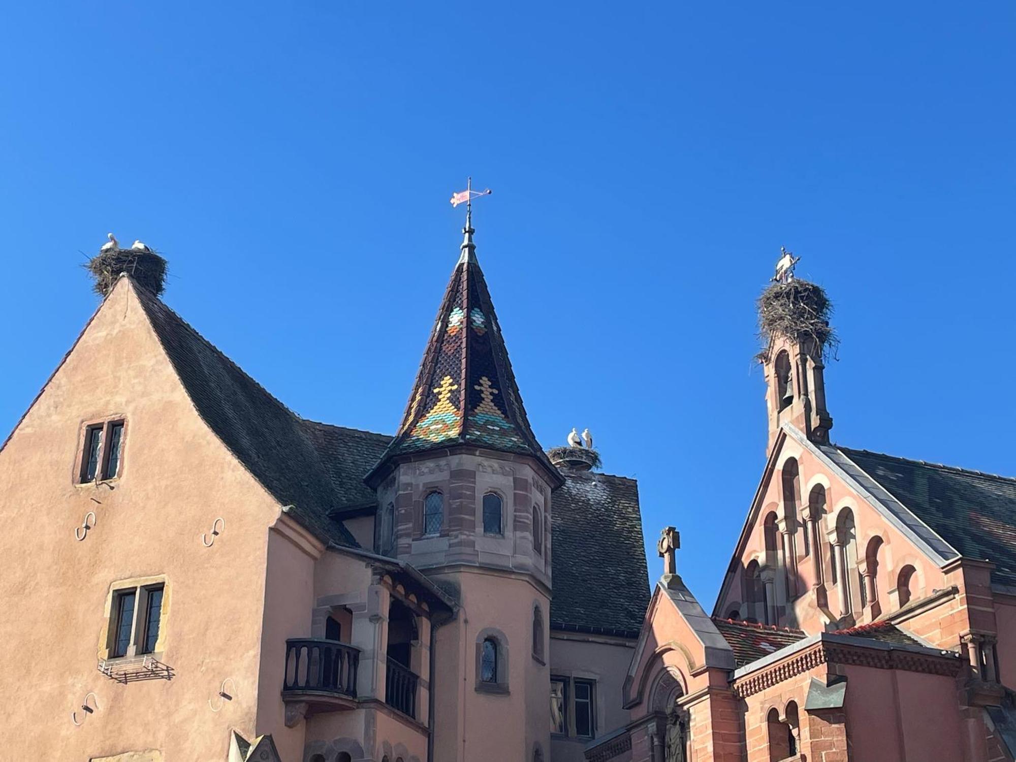 Appartement Le Ch'Ti Alsacien Eguisheim Eksteriør bilde